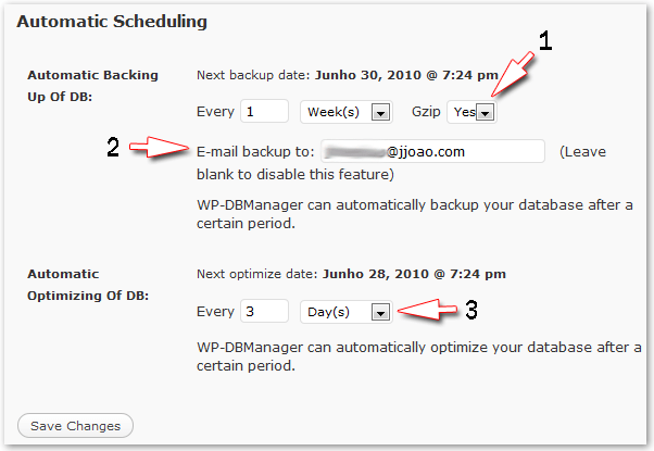 WP-DBManager - Opções